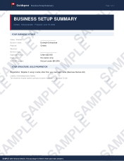 Business Setup Package